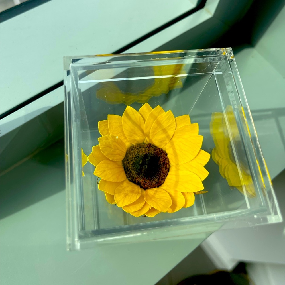 Preserved Sunflower